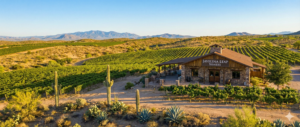 javelina-wirne-tours-scaled
